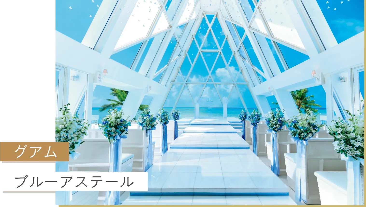 グアム ブルーアステール