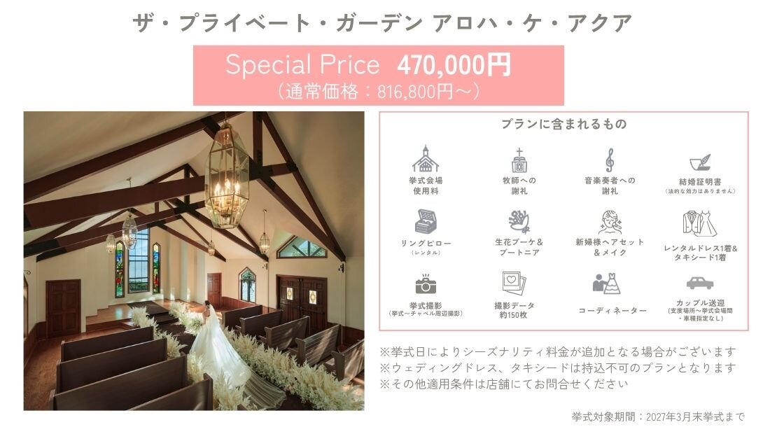 限定プラン詳細