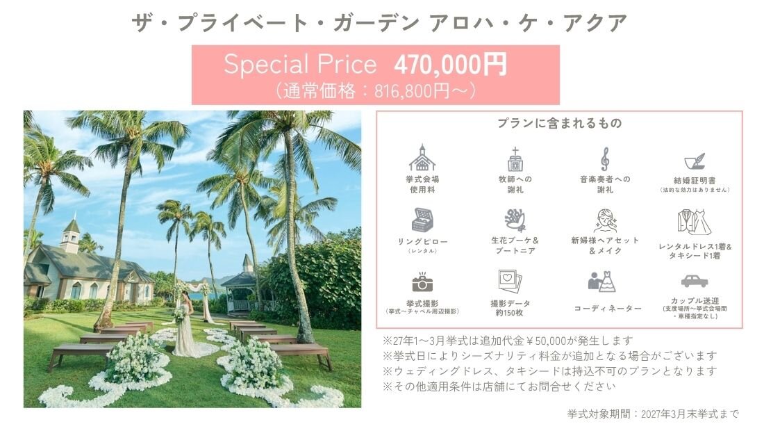 限定プラン詳細
