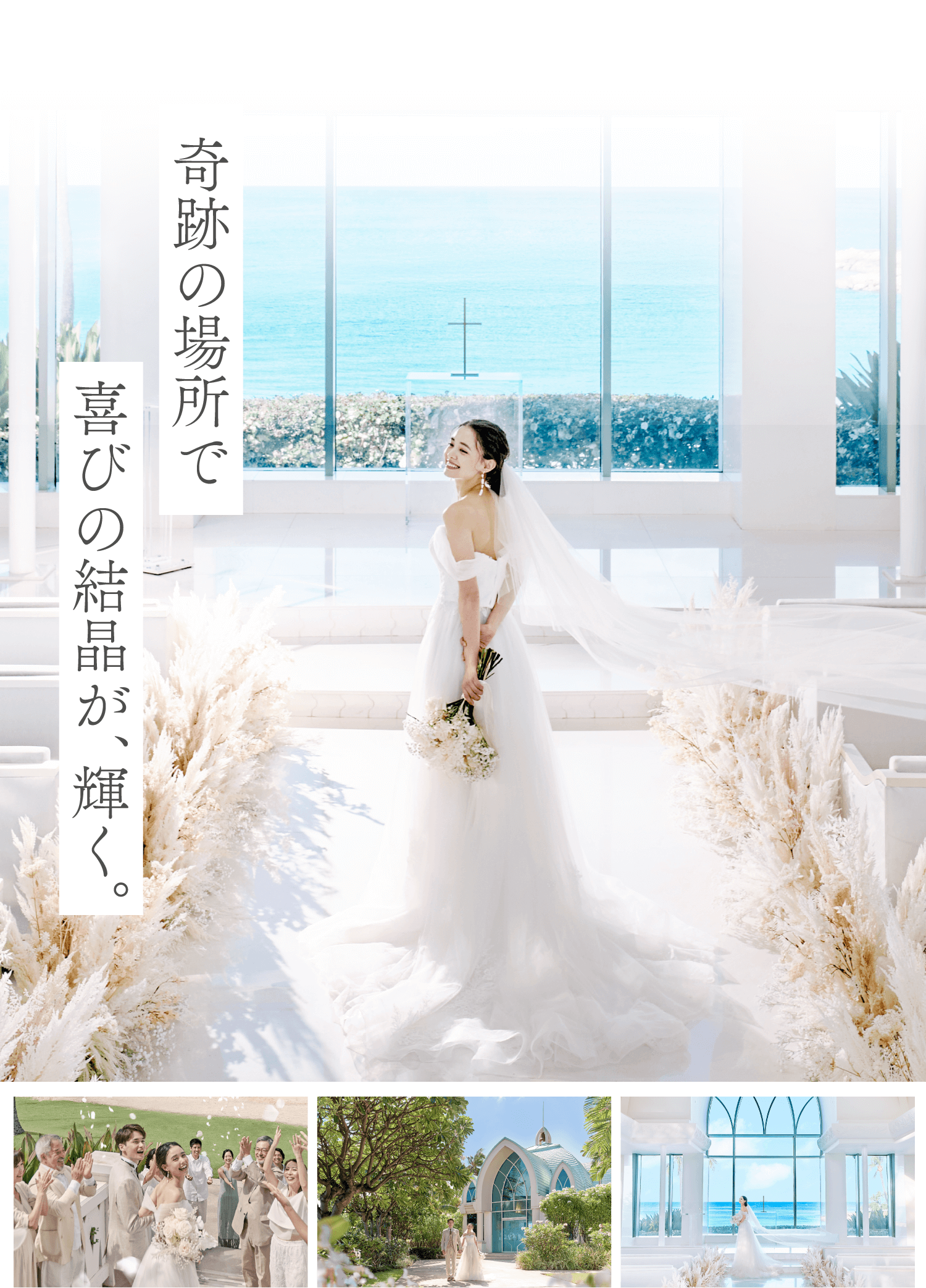 奇跡の場所で喜びの結晶が、輝く。