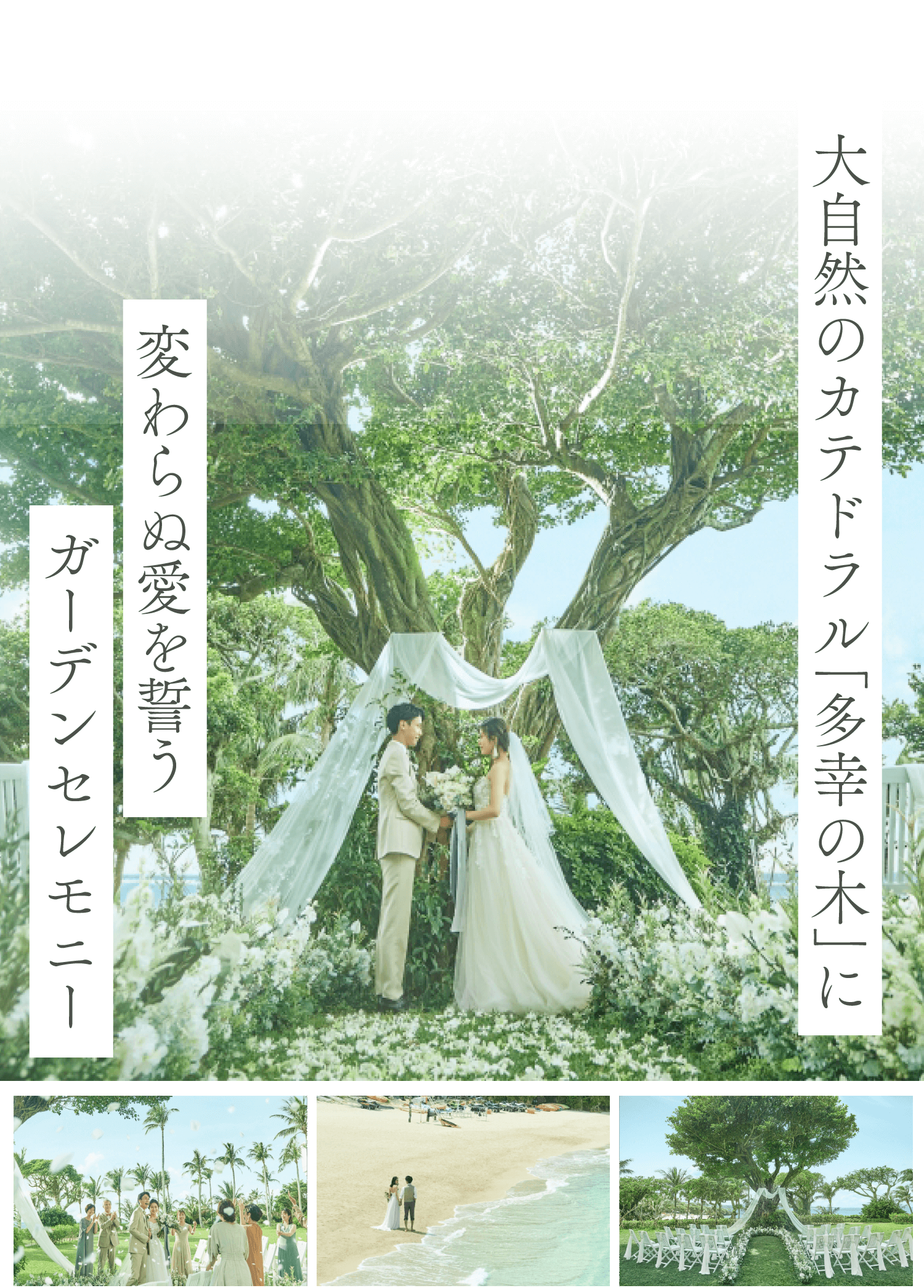 大自然のカテドラル「多幸の木」に変わらぬ愛を誓うガーデンセレモニー