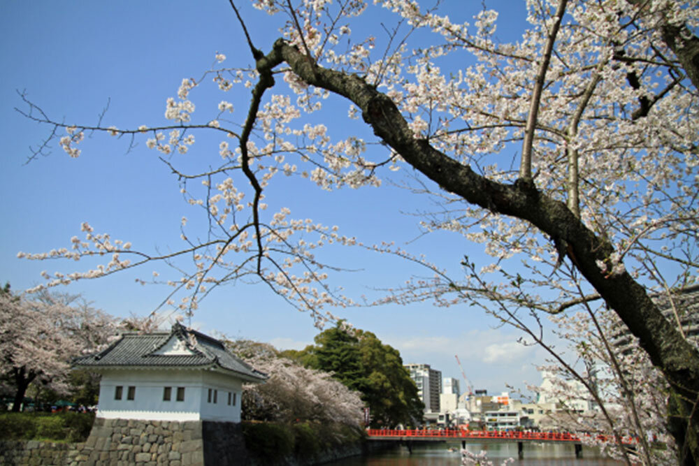 朝の相模湾を窓から眺める穏やかな時間