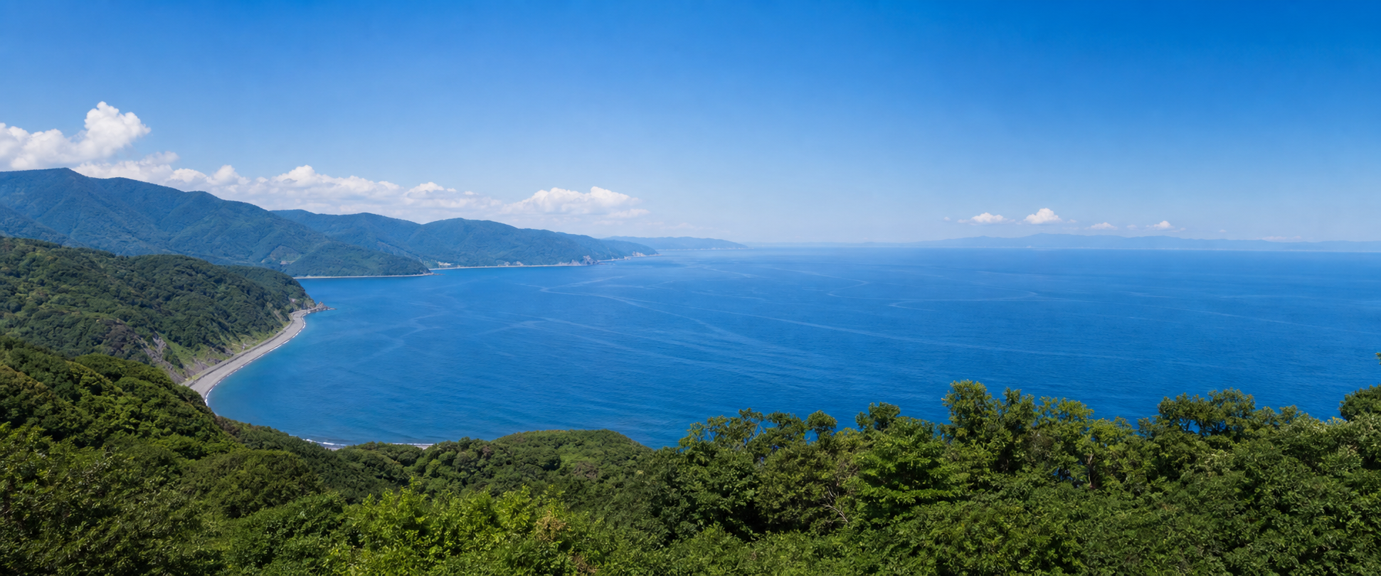 緑の高台から見下ろす相模湾の眺め