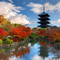 写真:京都