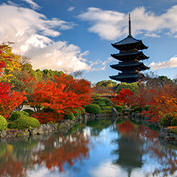 写真:京都