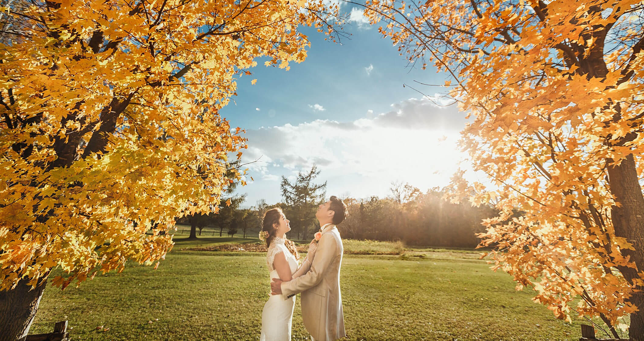写真:【10・11月】紅葉